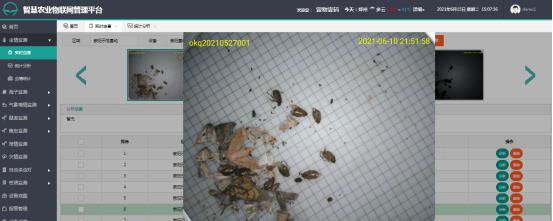 轉盤式蟲情測報燈 轉盤式蟲情測報燈