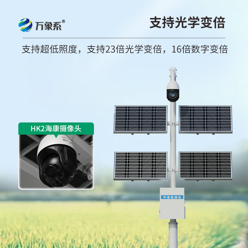 苗情災情監控系統：這套系統怎樣給每株苗做全身體檢？